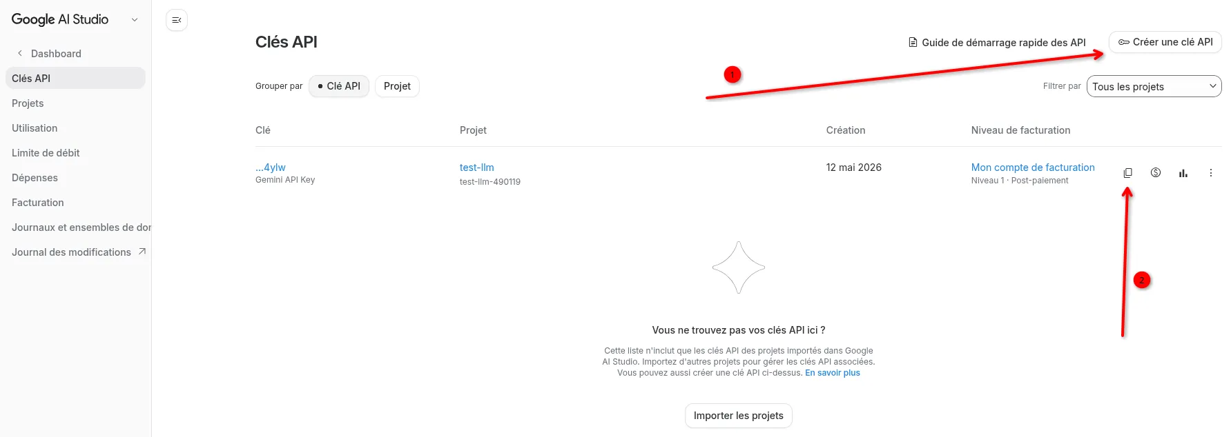 Interface Google AI Studio